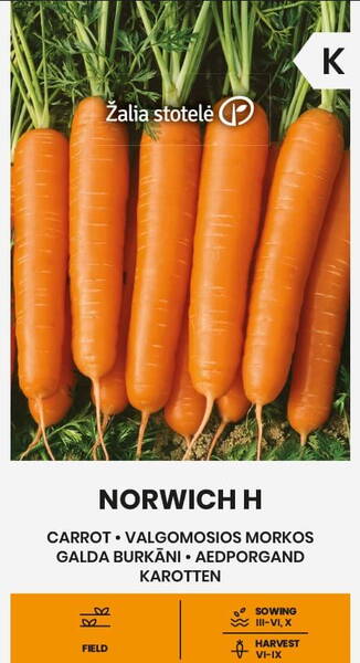 Морковь "Норвич" F1 Морковь "Норвич" F1